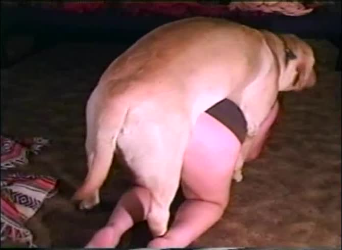 Video :Dog hard fucking a sexy babe from behind